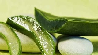 4 Jugos para Eliminar las Piedras en los Riñones