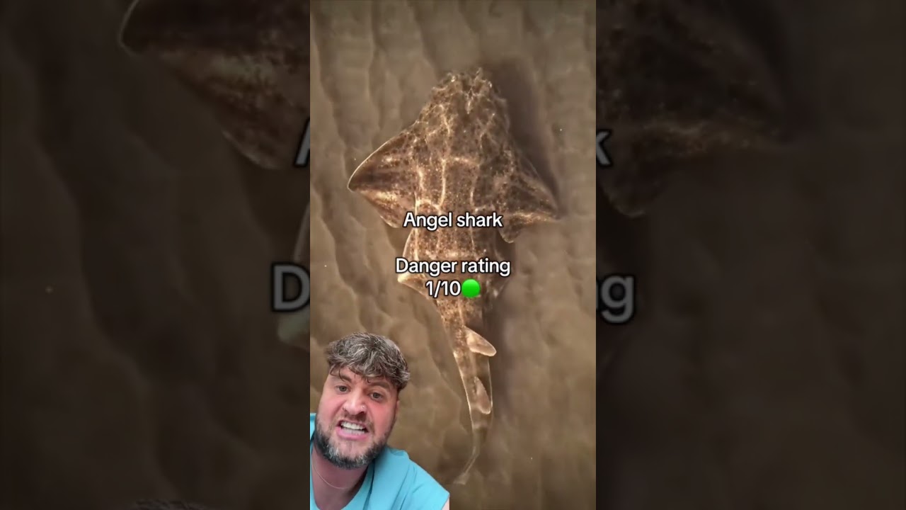 NOW THIS HAS SCARED ME 🎥FisFactsDaily 