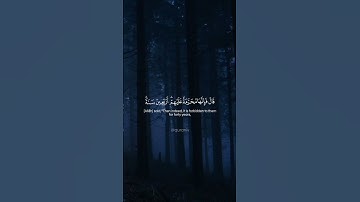 Surah Al-Maidah 025-026  سورة المائدة #quraniv #quran