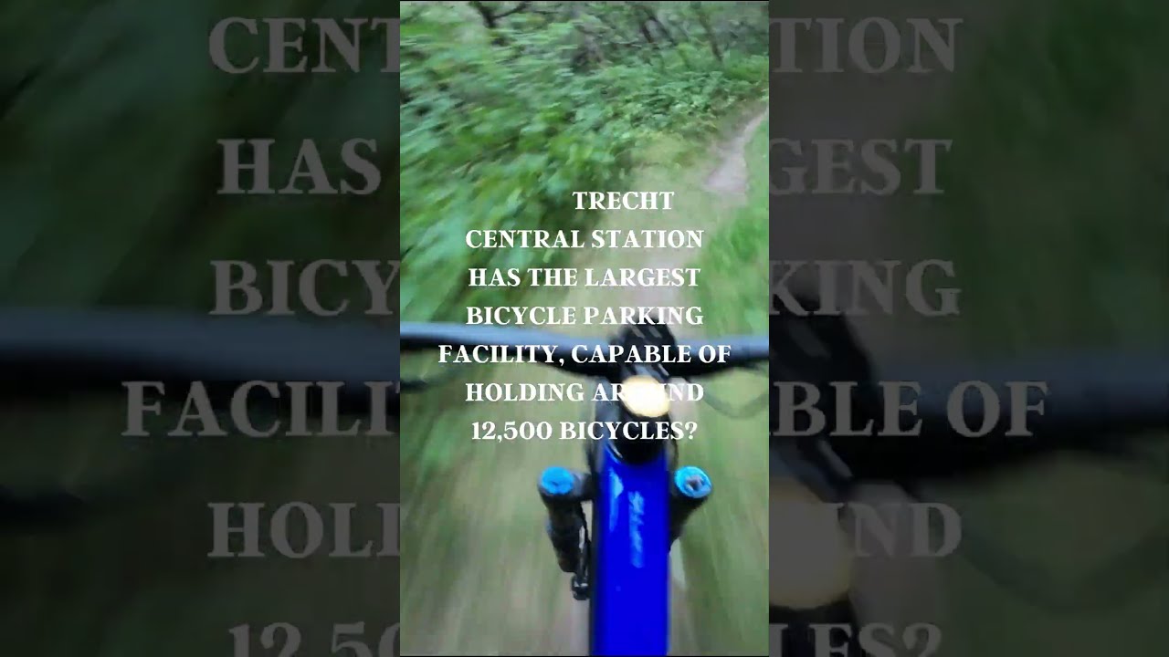 12000 Bikes YouTube 12000 Bikes YouTube