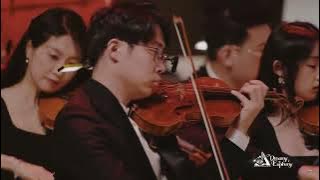 [Elastic Force] Dreamy Euphony Honkai Impact 3rd Concert