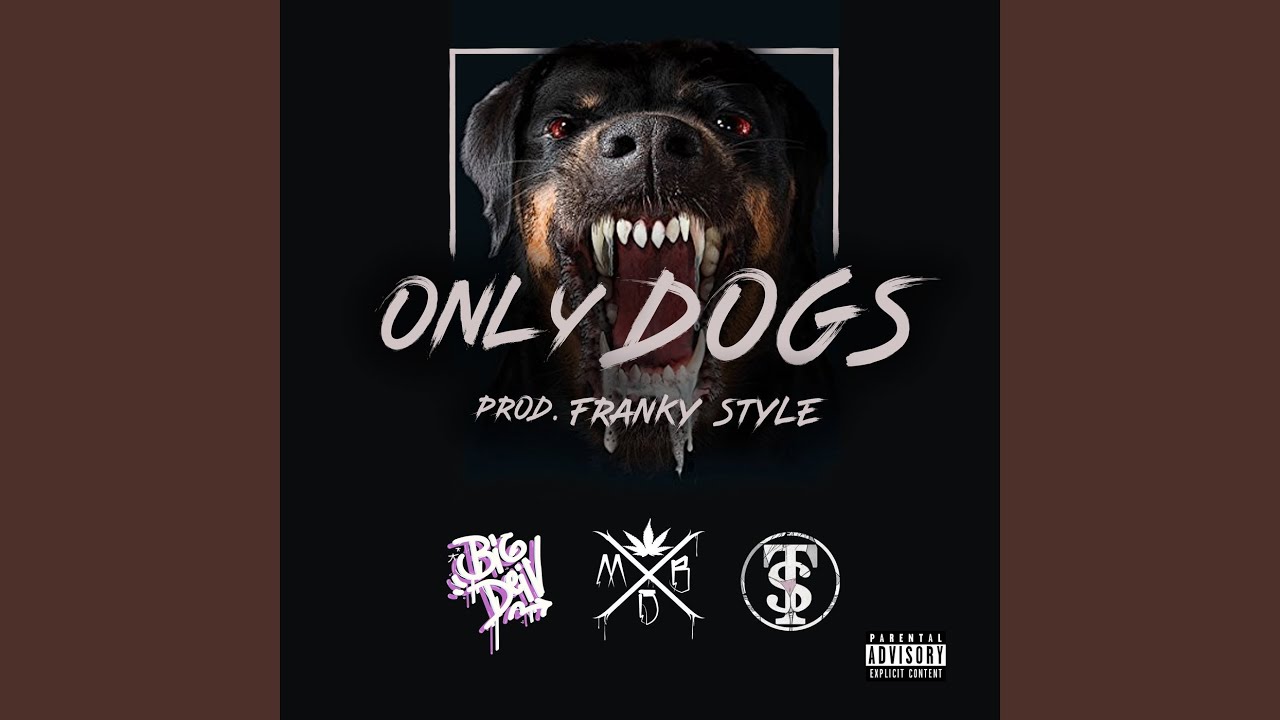 Only Dogs - YouTube