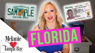 Moving to Florida? Guide for New Residents 🌴 DMV, Car Registration, Retiring, Pets, SunPass