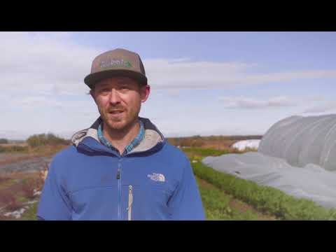 Vidéo: A quoi servent les hautes herbes ?