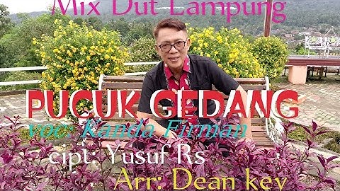 PUCUK GEDANG//Mix Dut Lampung//voc:Kanda Firman//cipt: Yusuf Rs//arr:Dean key