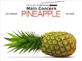 Main Concern - Pineapple [HQ]