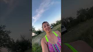 Graceful Swans Perform Synchronized River Dance