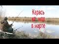 Ловля карася на поплавок в начале марта. Как поймать карася в начале весны. Прикормка для карася.