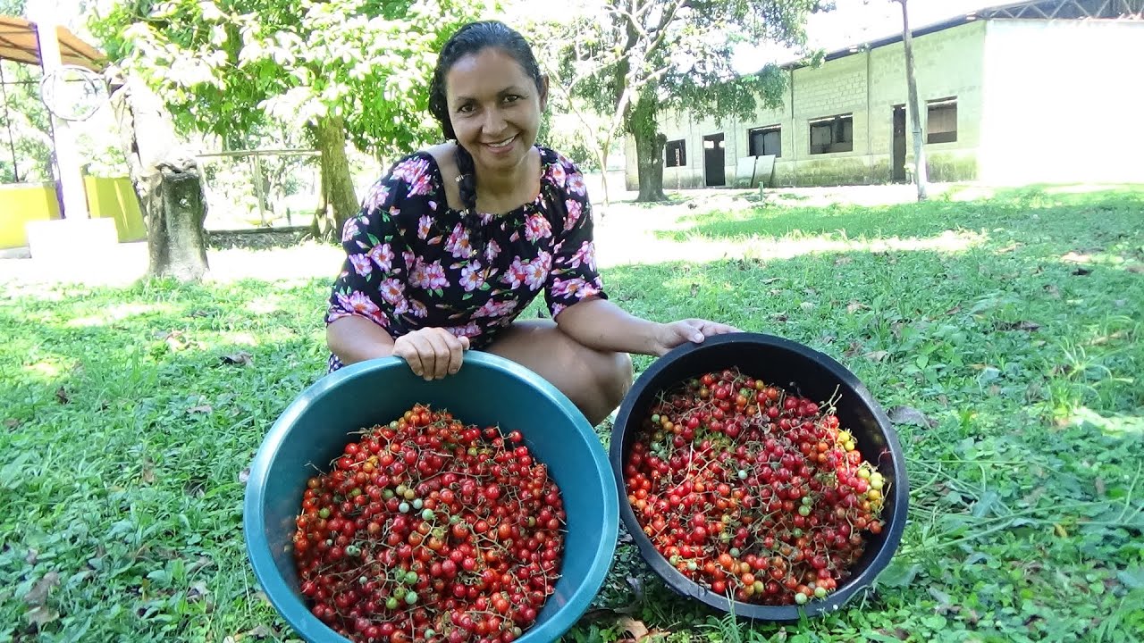 VÁRIAS RECEITAS COM TOMATINHOS