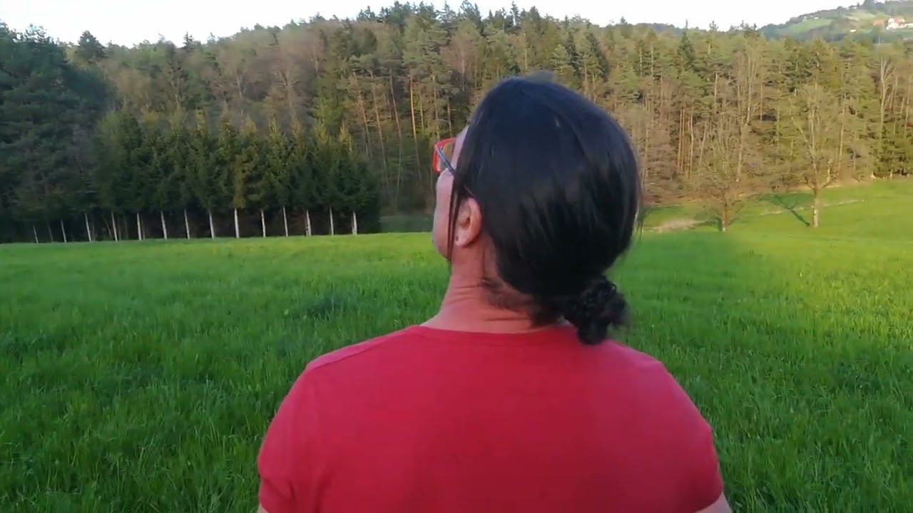 Impeller-Delta-Jet Johannes Jörgler