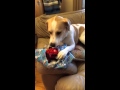 Lucy opening her toys  christmas 2014