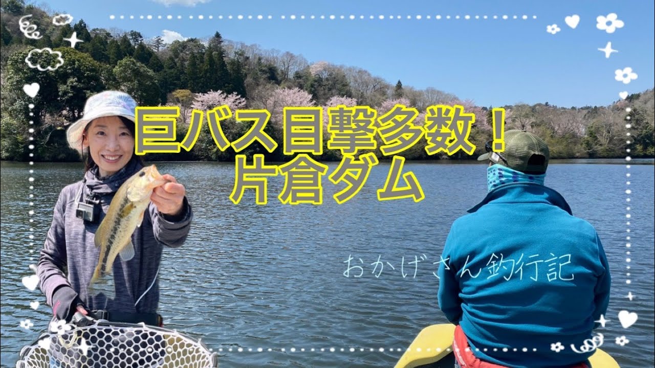 巨バス目撃多数 片倉ダム 笹川湖 バス釣り Okagesan Fishing Notes Lure Fishing Large Mouth Bass Youtube