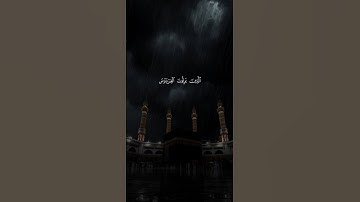 اكتب شيء تؤجر عليه 😴💚 قران كريم | ياسر الدوسري