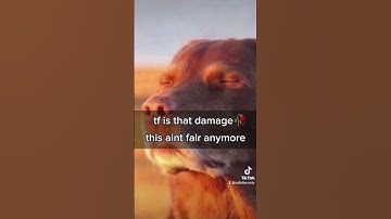 Rip bro🥀divergent universe is goated #honkaistarrail #hsr #starrail #hoyoverse #honkaiimpact #shorts