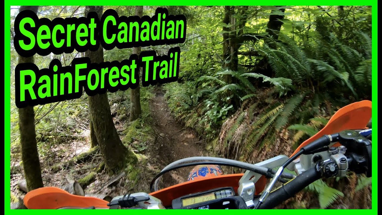 Canada's Secret Rainforest Trail