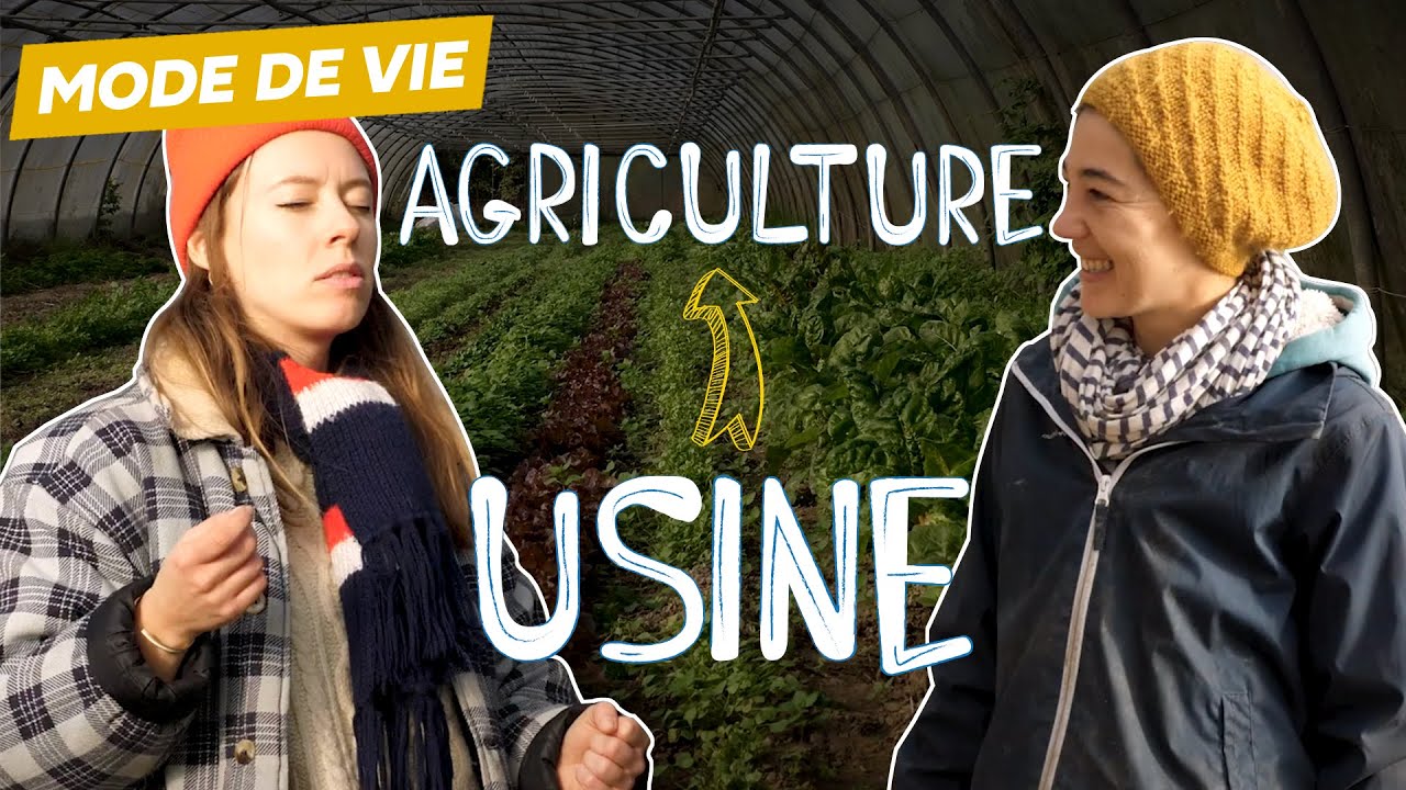 J'ai tout plaqué pour devenir agricultrice