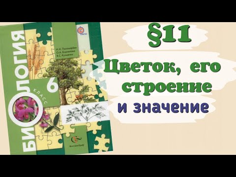 Краткий пересказ §11 Цветок, его строение и значение. Биология 6 класс Пономарёва