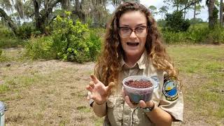 LIFE: Science Shorts — Coastal Module: How Pollution Affects Our Watersheds