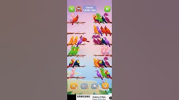 #bird #sort #level 740