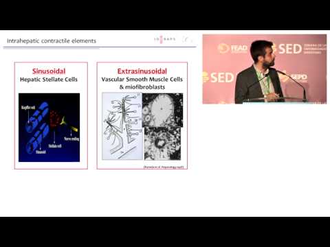 Bases fisiopatológicas de los tratamientos emergentes de la [...] - Dr. Jordi Gracia-Sancho