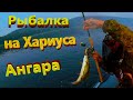 Рыбалка на Хариуса Ангара