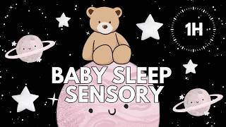 Baby Sleep Sensory 🌙🧸 | Teddy Bear Night Routine | Calm Sleep Music for Babies | 1 Hour