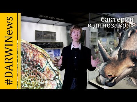 Тайна костей динозавров! Ярослав Попов #DARWINews