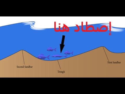 كيفية قراءة البحر للنجاح فى صيد السمك وتوقي المخاطر - YouTube