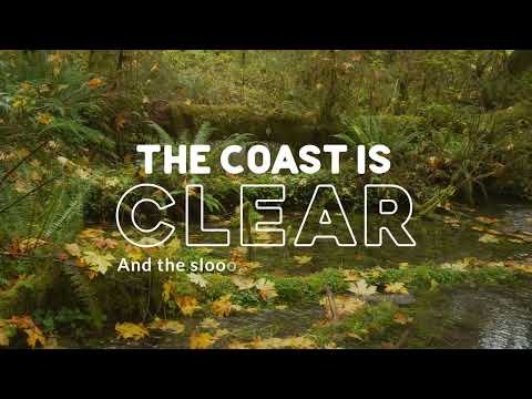 Olympic Peninsula Craigslist:  Your Next Project Awaits