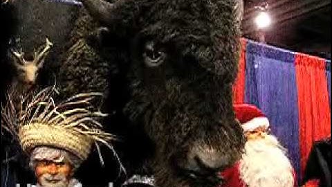 HAUNTEDPROPS.COM ANIMATED TALKING BUFFALO