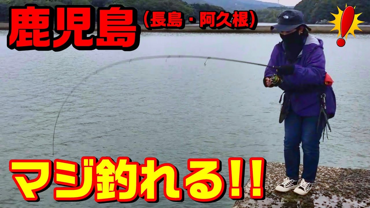  【鹿児島 長島/阿久根】の五目釣りが魚種豊富で楽しすぎた‼︎