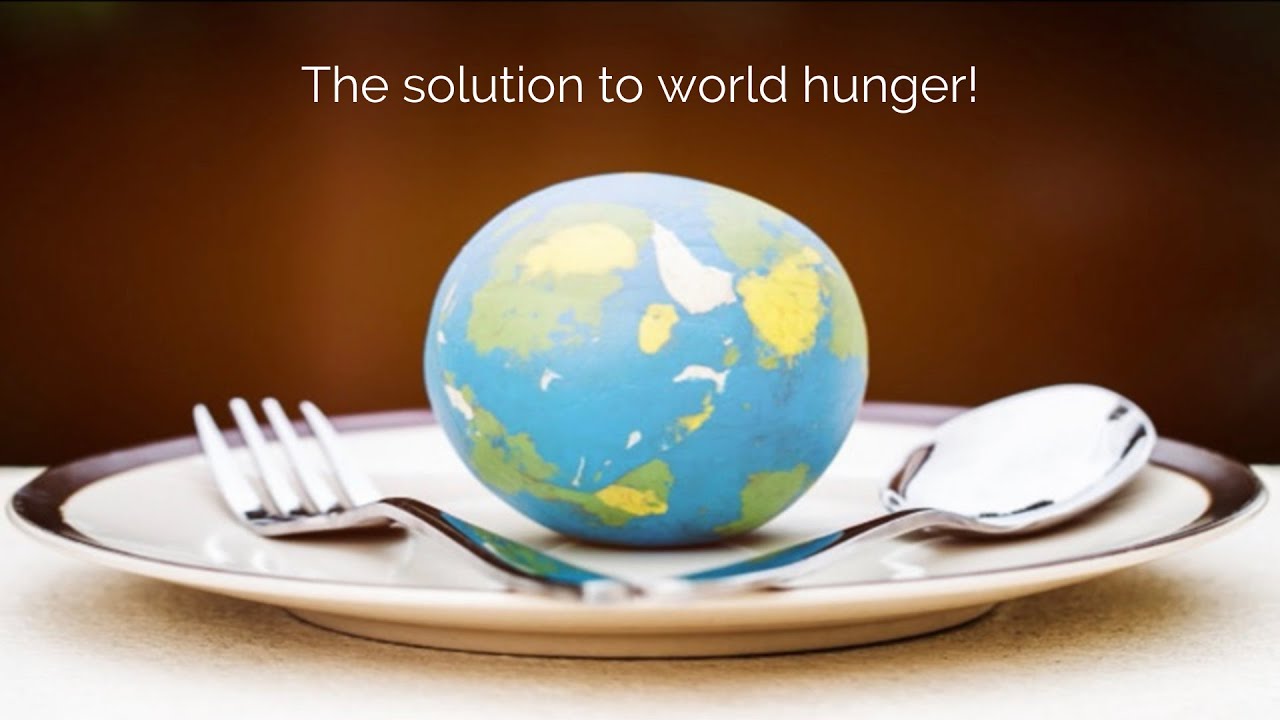 essay on how to solve world hunger