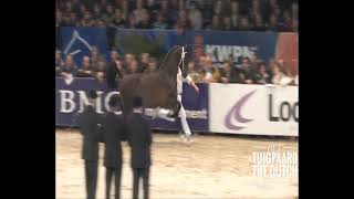 2010 HK Zwolle, 1e bezichtiging  -  goedgekeurde hengst Cizandro