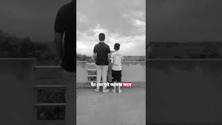 দুই ভাই - এর গল্প #viral #brotherstory #short