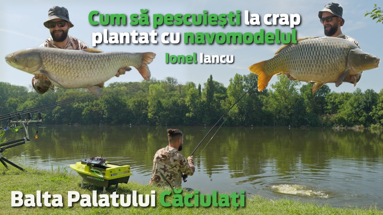 Pescuit la CRAP PLANTAT pe Balta Palatului Caciulati - Ghid complet | Ionel Iancu | MarelePescar