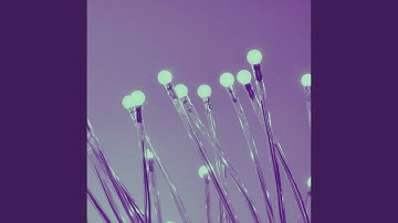 Scintillating Ambiance for Fresh Vibes