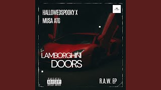 LAMBORGHINI DOORS