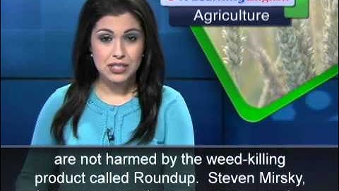 Researchers Look for Non-traditional Ways to Fight Weeds