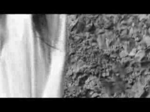 Video: Սև տրյուֆելներ. նկարագրություն