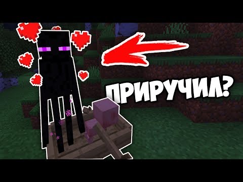 МАЙНКРАФТ, НО МЫ ПРИРУЧИЛИ ЭНДЕРМЕНА как приручить эндермена без модов #КОРОТЫШ