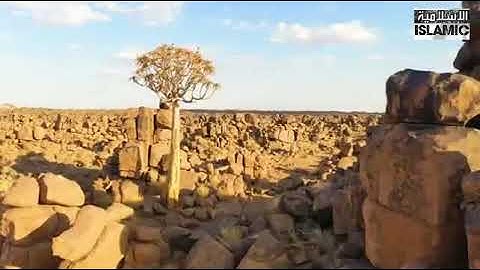 سورة لقمان للشيخ محمد حسين عامر