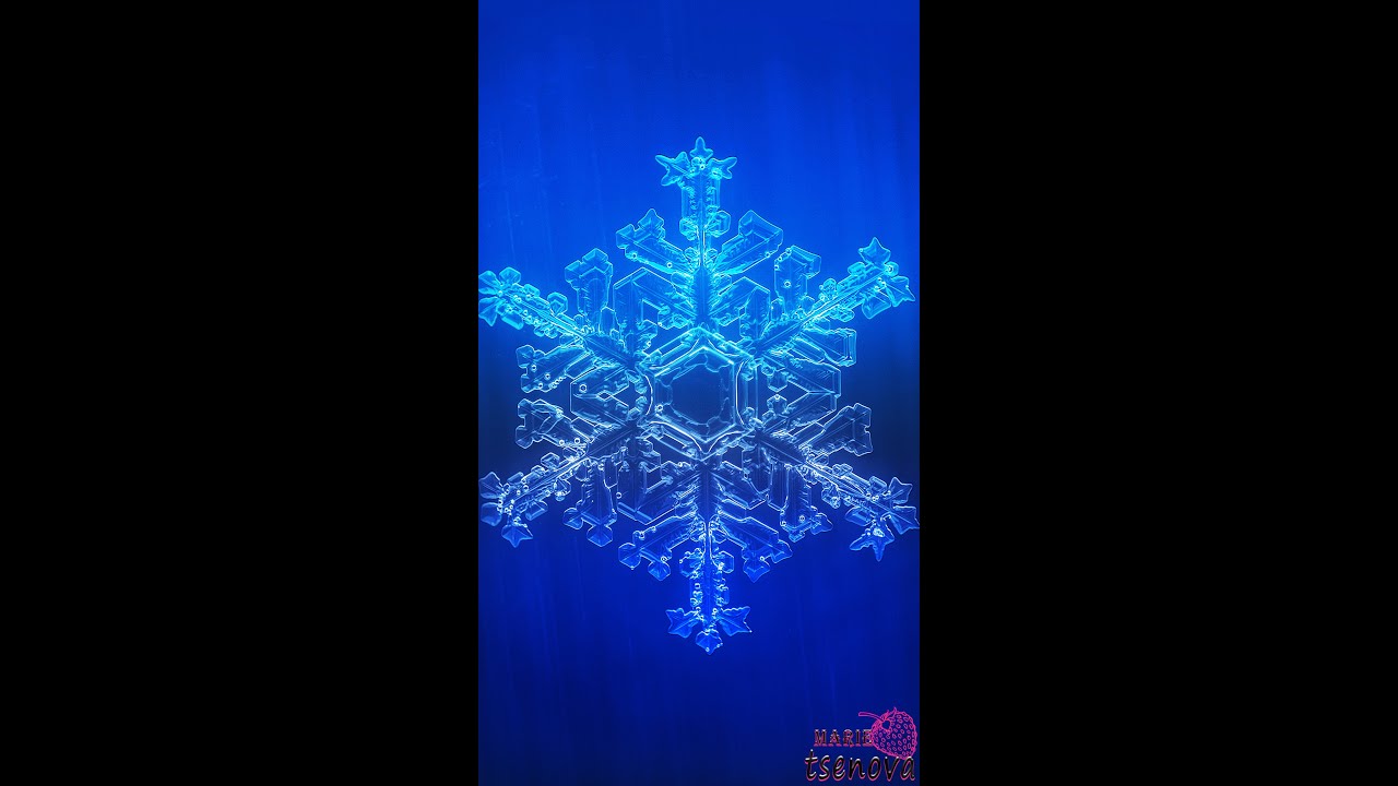 Growing Snowflake - Microscopic Time lapse! 