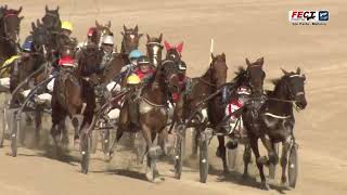 Vidéo de la course PMU PREMI ENGHIEN