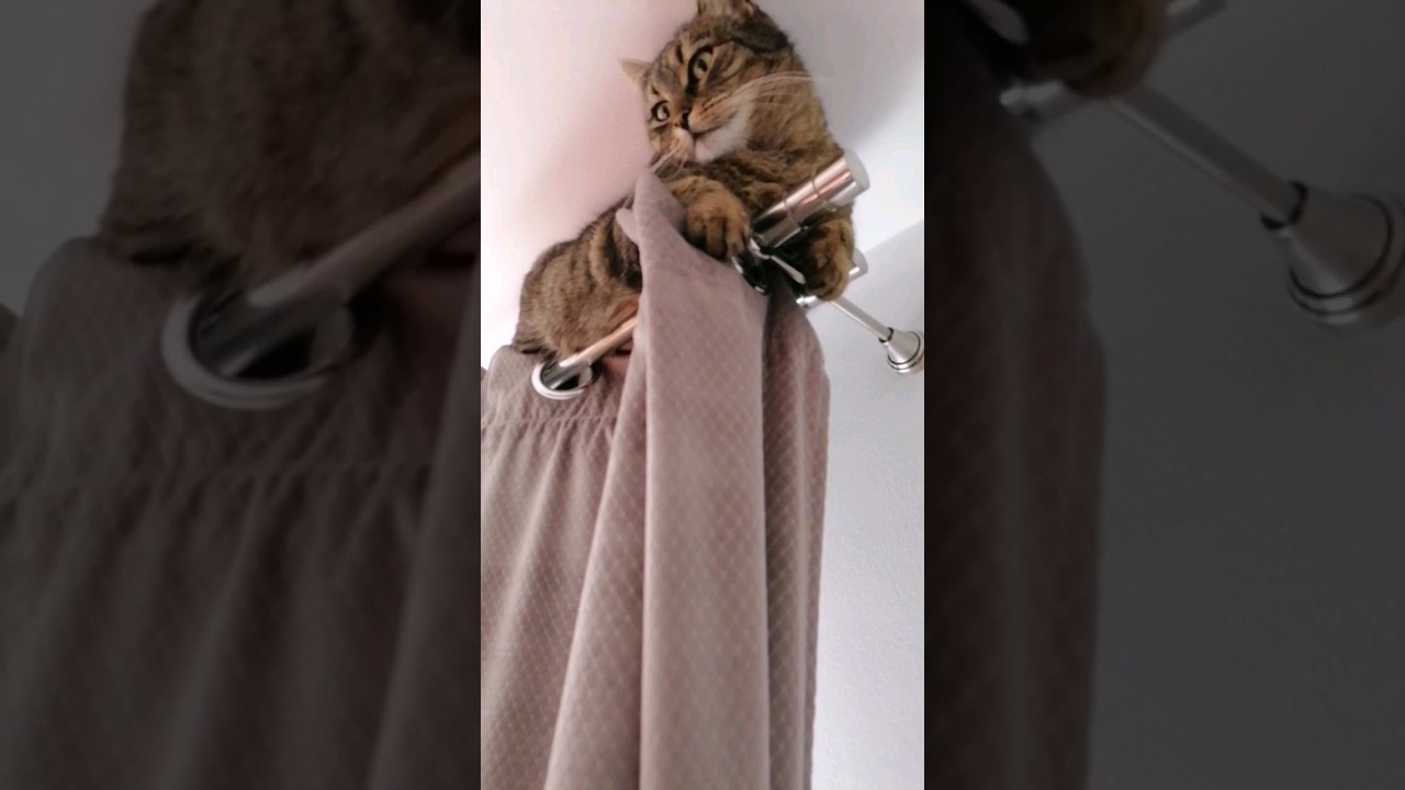 The curtain is broken 