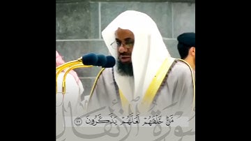 تلاوة إبداعية تأخدك لعالم آخر للشيخ سعود الشريم #سعود_الشريم #سعودالشريم #الحرم_المكي