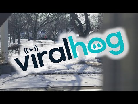 Cortar el césped en la nieve || ViralHog