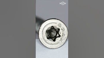 Macro Screw #satisfying #macro #oddlysatisfying #macroinmotion