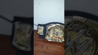 Dun real manniquin challenge wwe style