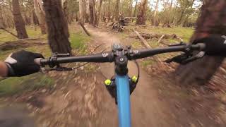 20181209 - Lysterfield MTB - All black diamonds