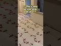 “After All The Prep… The Tile Finally Goes Down 🔥